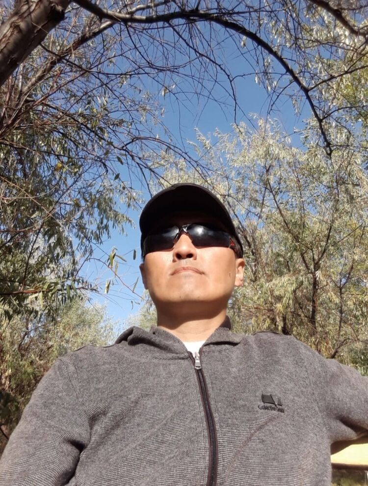 ���� 55071866 ������� �����, 36 ���, ���� ���������� � ��������