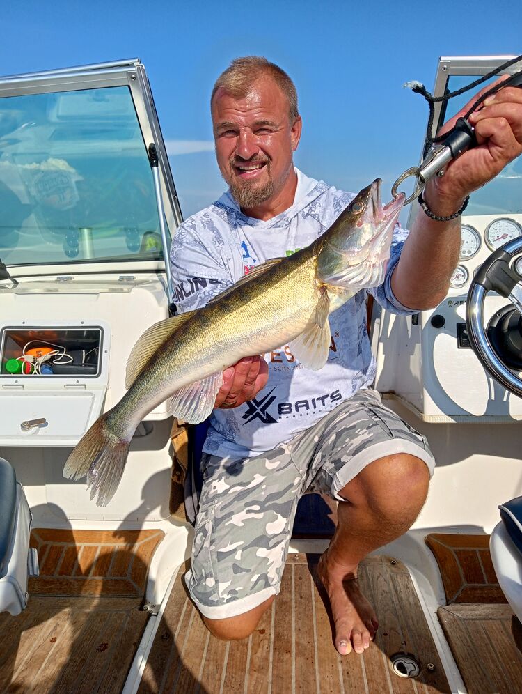 ���� 31944666 ������� �������, 47 ���, ���� ���������� � ������