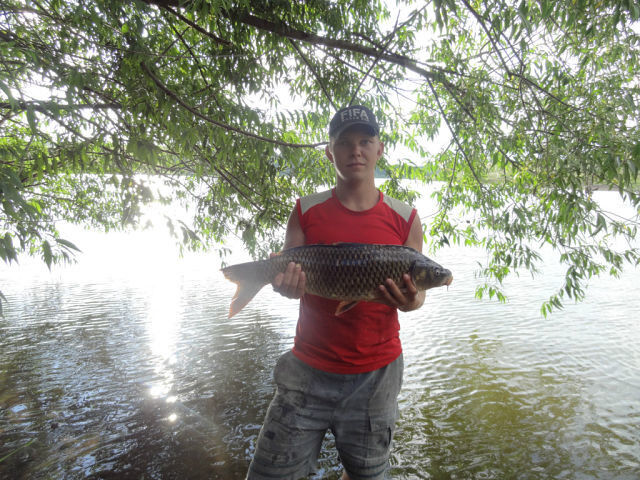 ���� 5228606 ������� Evginy, 33 ����, ���� ���������� � ������������