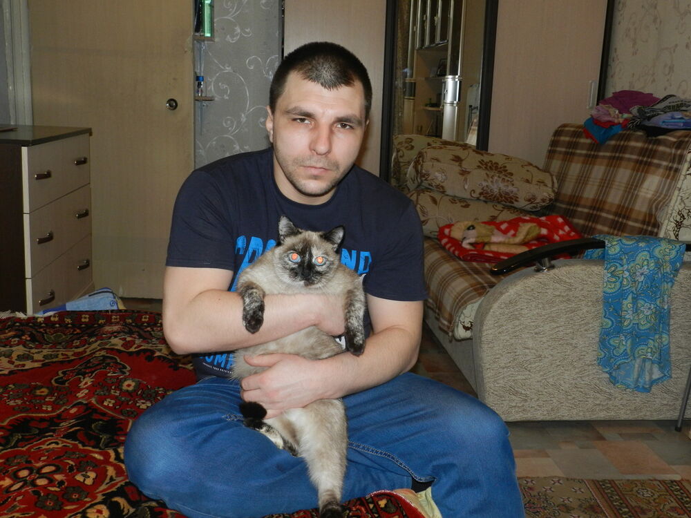 ���������� ������ �����, ���� ������� ���������, 41 ���, ������������ ��� ������, ����� � ���������, c�������� ���������