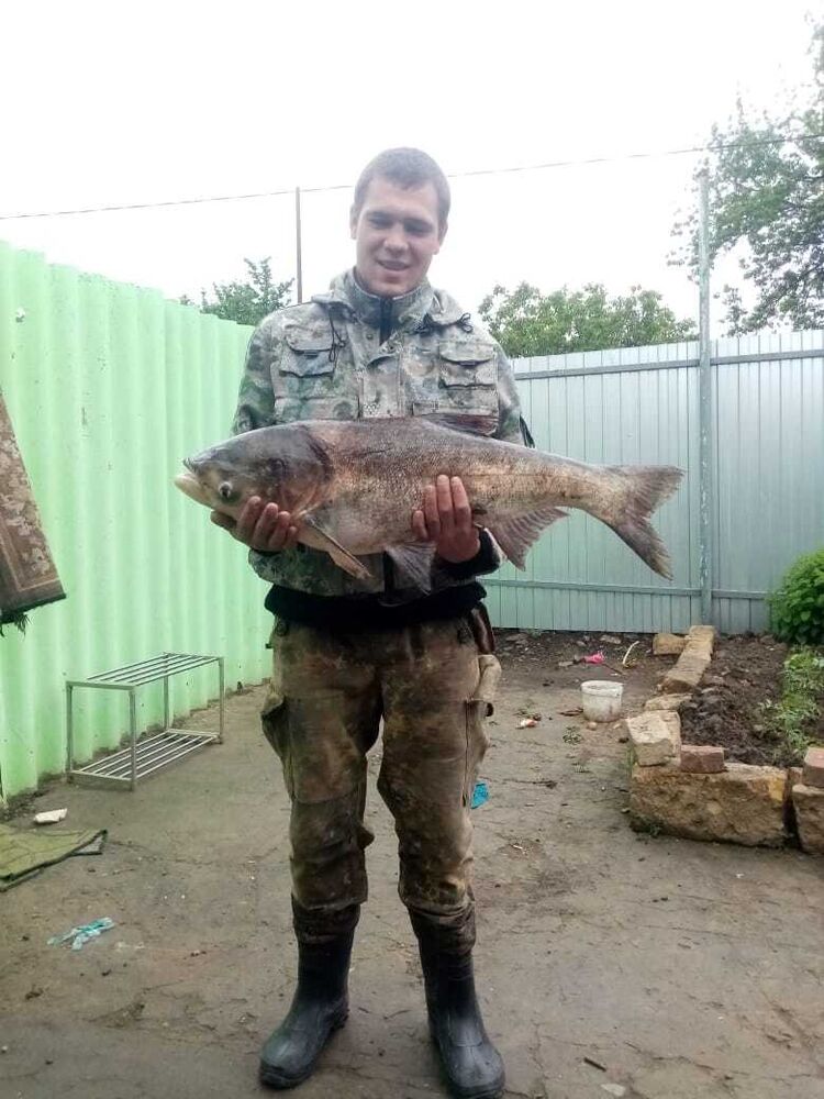 ���� 43370826 ����� �����, 20 ���, ���� ���������� � ����������