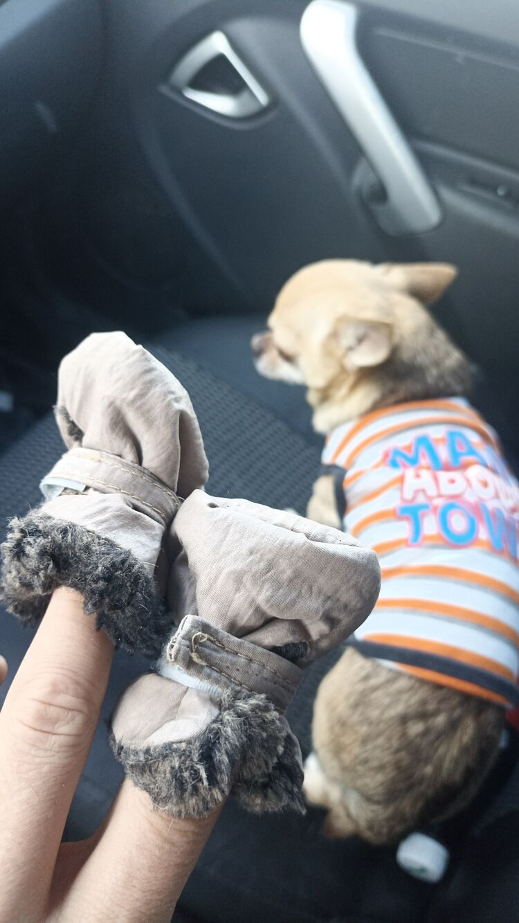 ���������� ��������, ���� ������� ���������, 34 ����, ������������ ��� ������, ����� � ���������