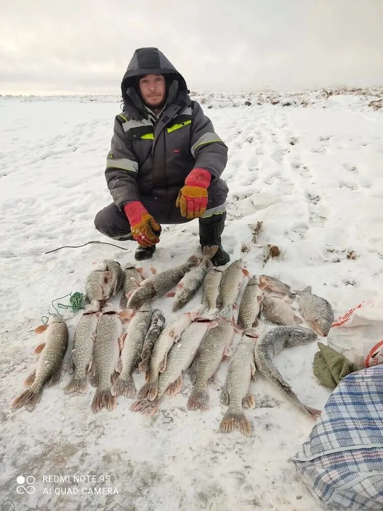 ���������� ������, ���� ������� ������, 37 ���, ������������ ��� ������, ����� � ���������, c�������� ���������