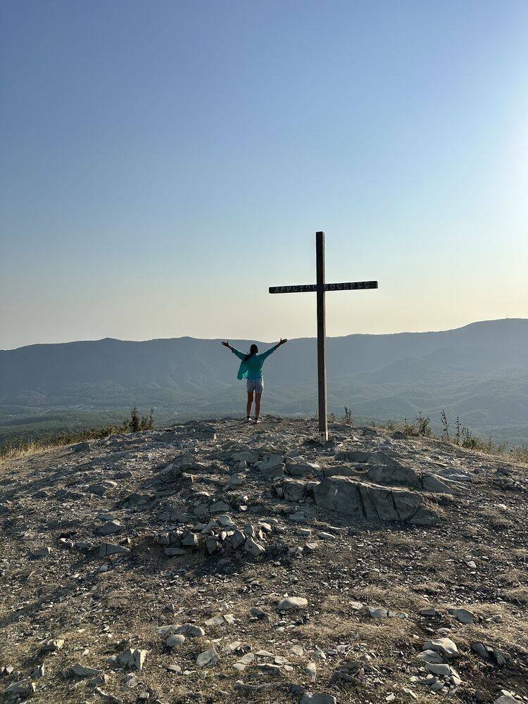  53299666  , 37 ,    --