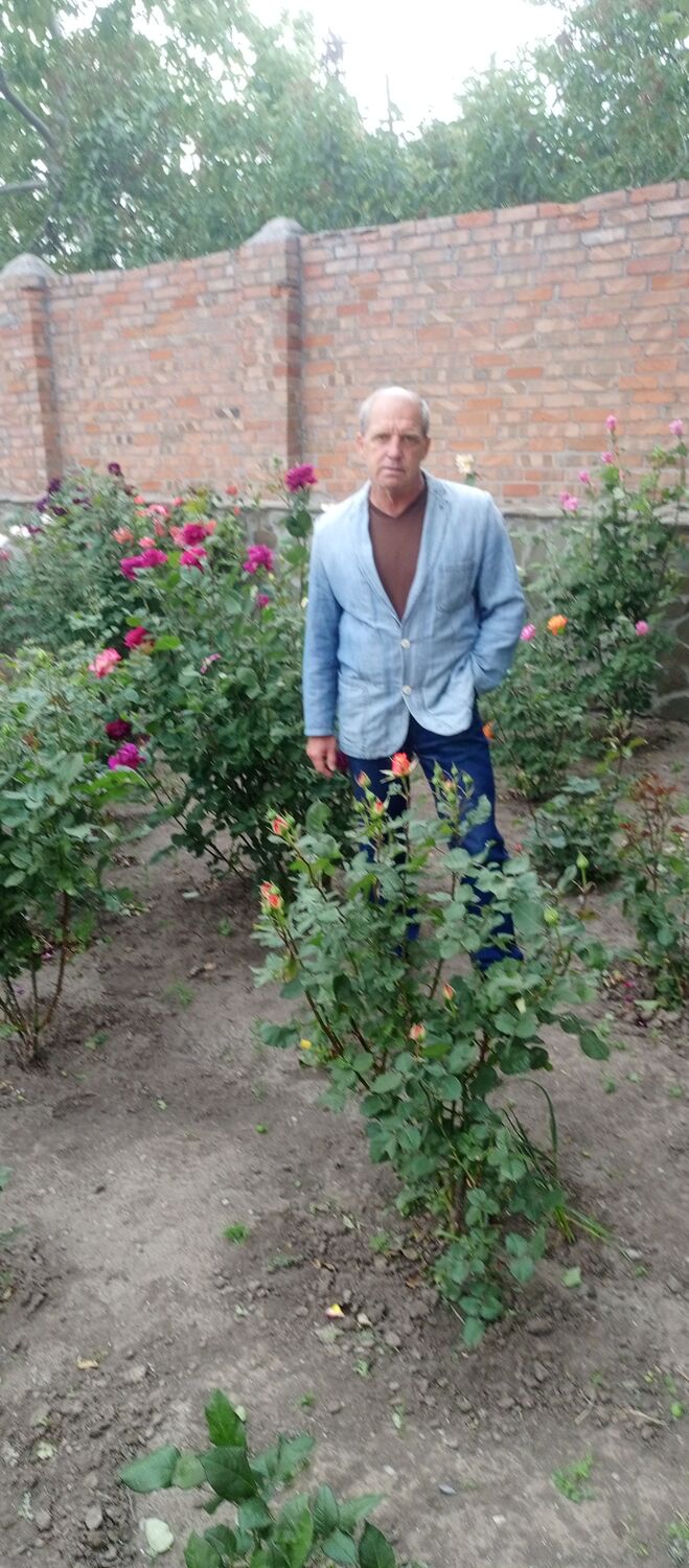  --,   , 54 ,   c 
