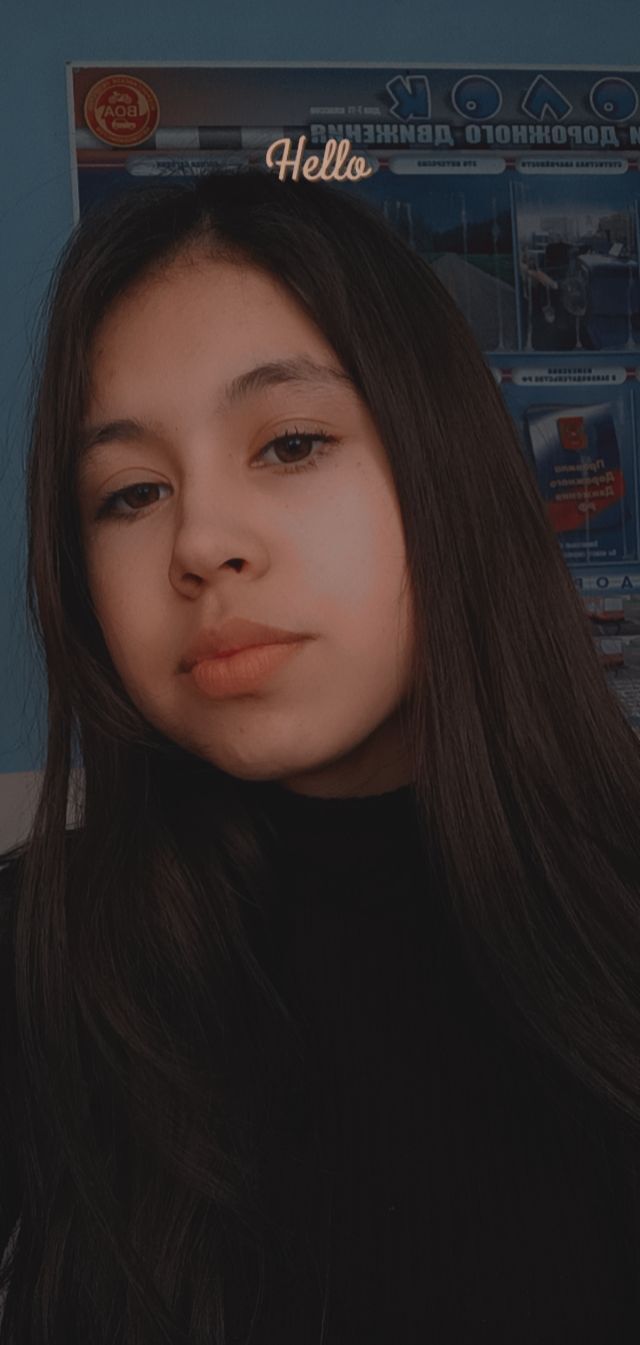  33191206  , 22 ,    