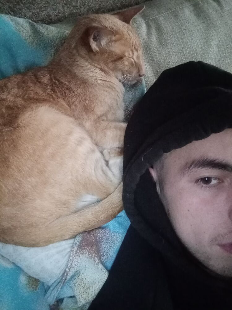 ���� 42199966 ����� ����������, 24 ����, ���� ���������� � �������