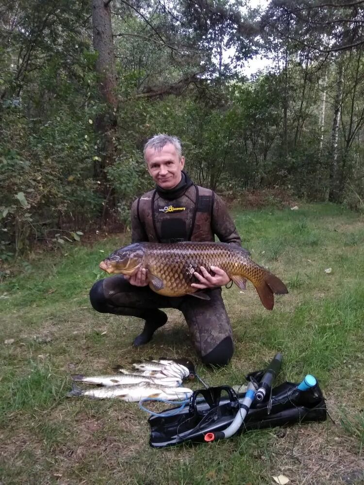 ���������� �����-���������, ���� ������� �������, 50 ���, ������������ ��� ������, ����� � ���������