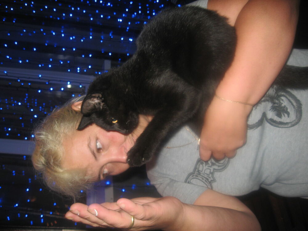 ���������� ������, ���� ������� �����, 39 ���, ������������ ��� ������, ����� � ���������, c�������� ���������