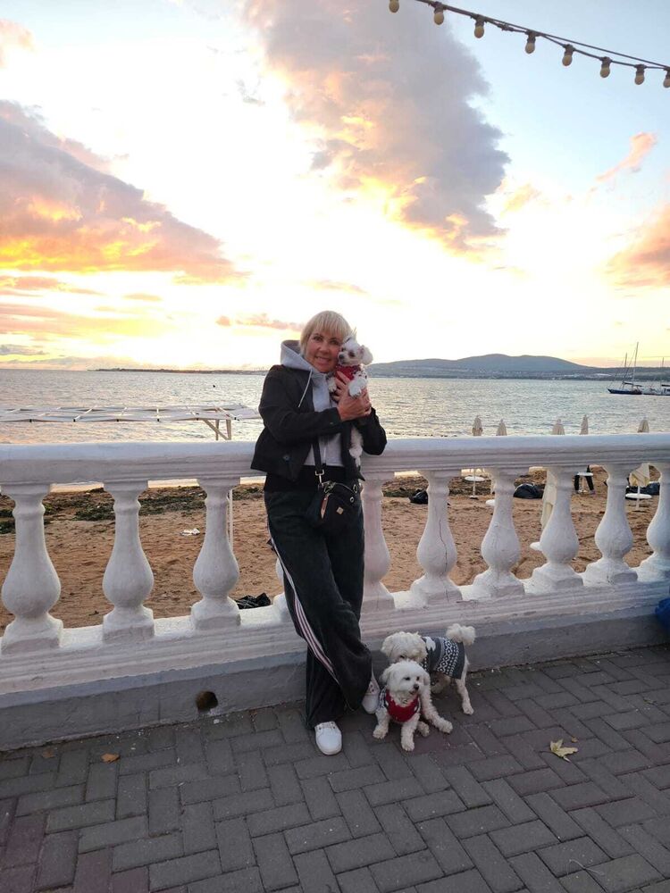  53801836  , 49 ,    --