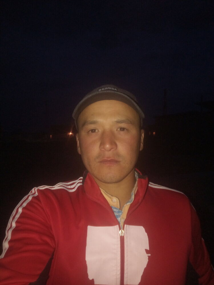  20429666  , 37 ,    