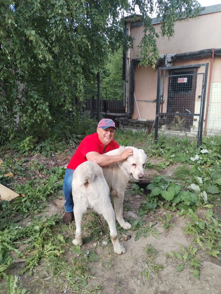 ,   , 56 ,   ,   