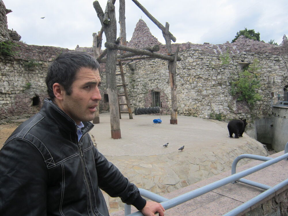 ���������� ���������, ���� ������� �����, 42 ����, ������������ ��� ������, ����� � ���������, c�������� ���������, ���������