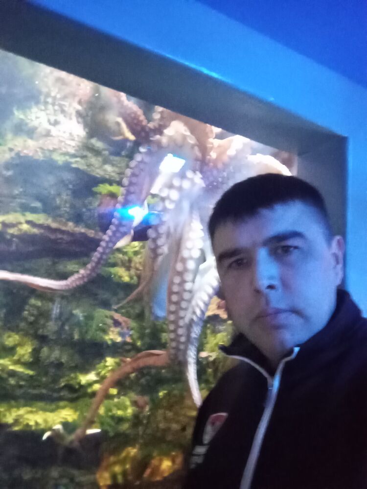 ���������� ����-���, ���� ������� ���������, 36 ���, ������������ ��� ������, ����� � ���������, c�������� ���������, ���������