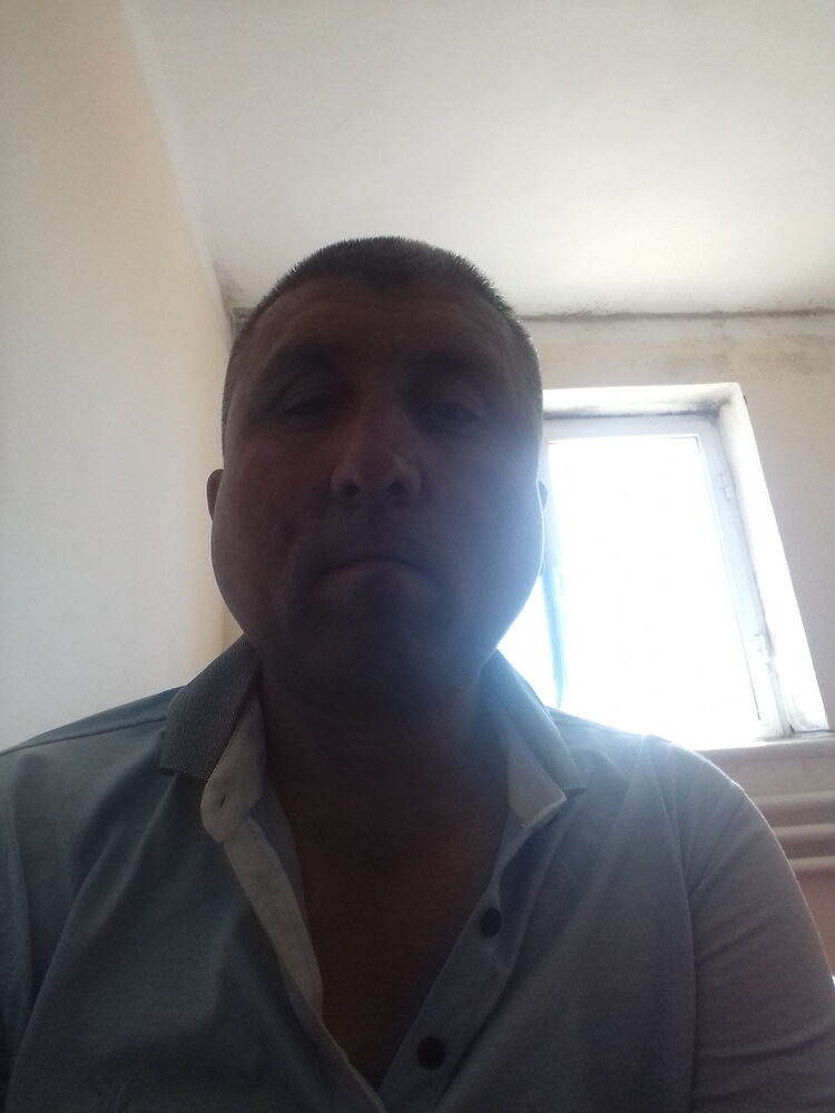  15697456  , 49 ,    
