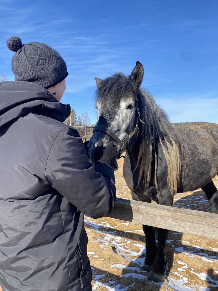 ���������� �����, ���� ������� ���������, 31 ���, ������������ ��� ������, ����� � ���������, c�������� ���������