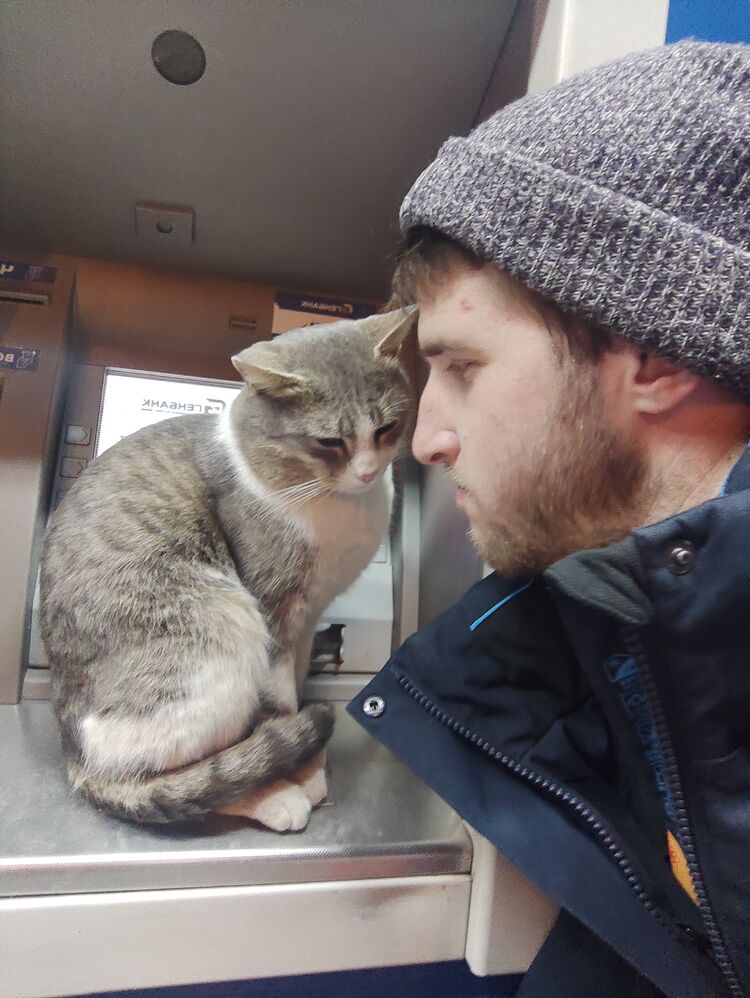 ���������� �����������, ���� ������� �������, 29 ���, ������������ ��� ������, ����� � ���������, c�������� ���������