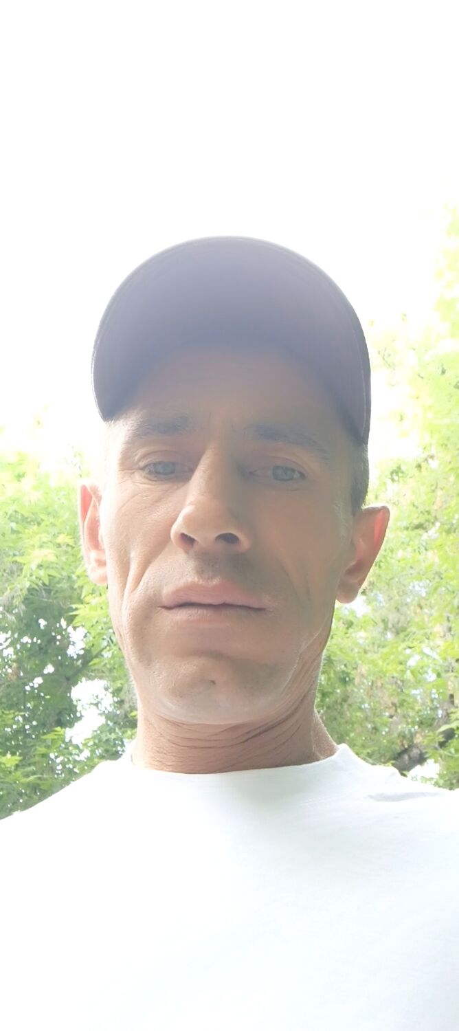 ���� 55195996 ������� �������, 44 ����, ���� ���������� � ��������