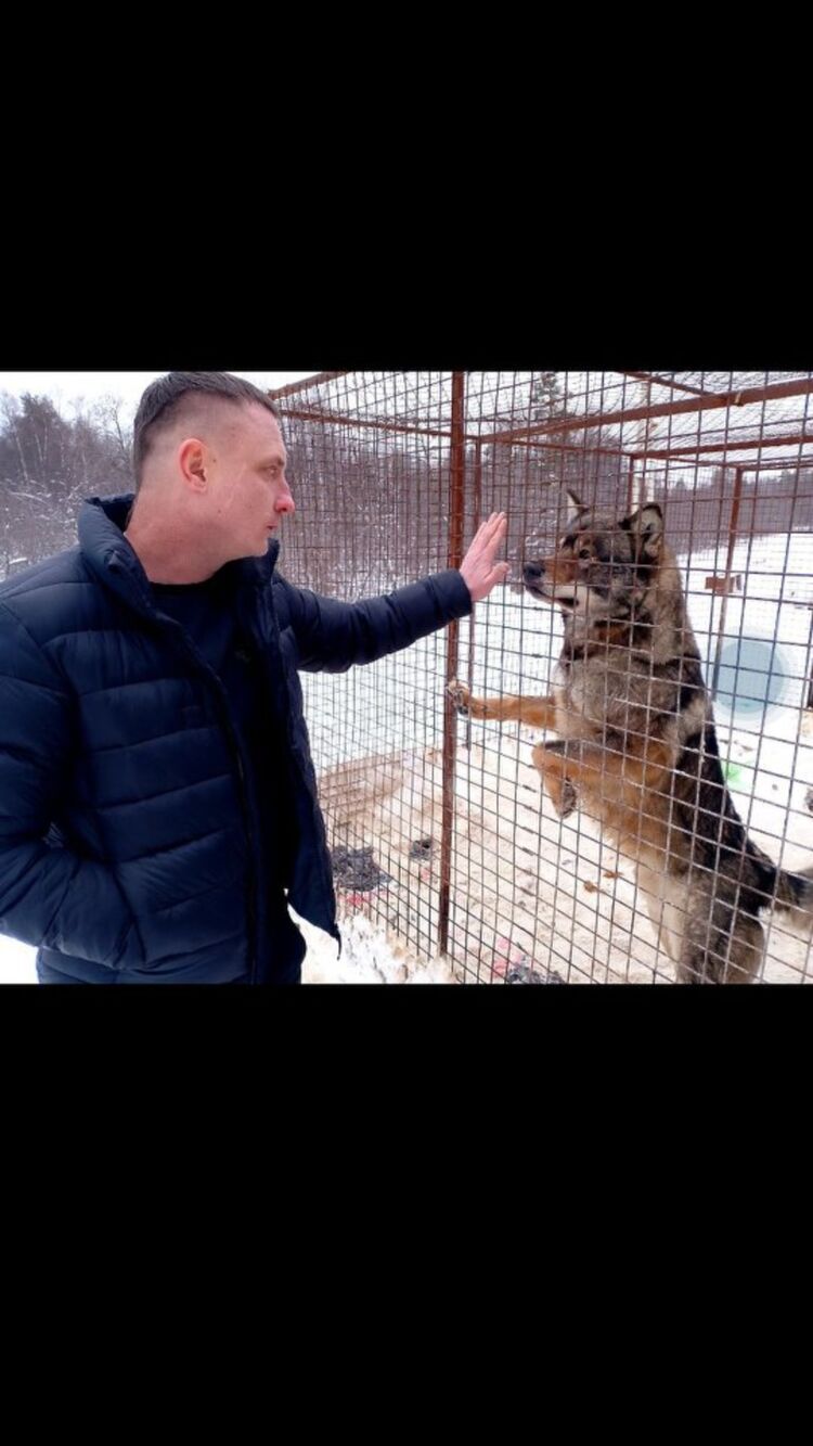 ���� 55462236 ������� ����, 38 ���, ���� ���������� � �������������