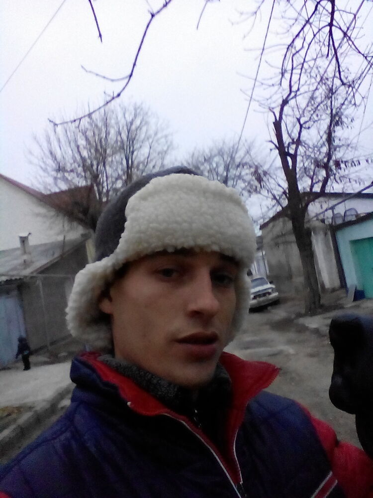  33359686  , 37 ,    