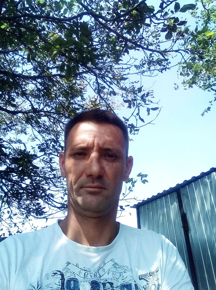  36920656  , 43 ,    