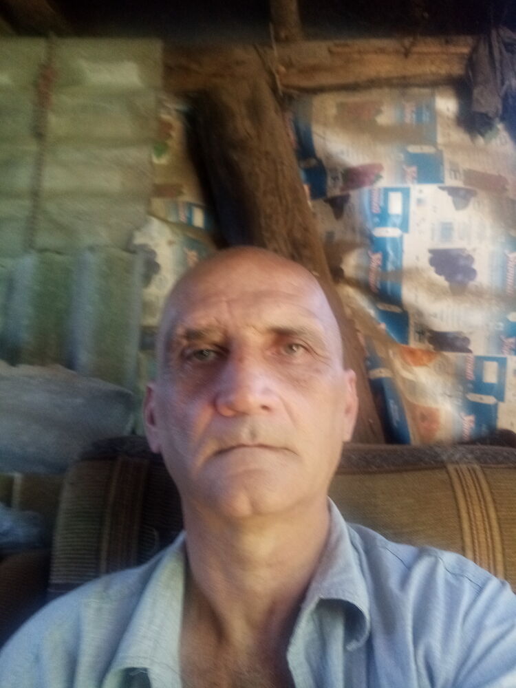  45568616  , 49 ,    