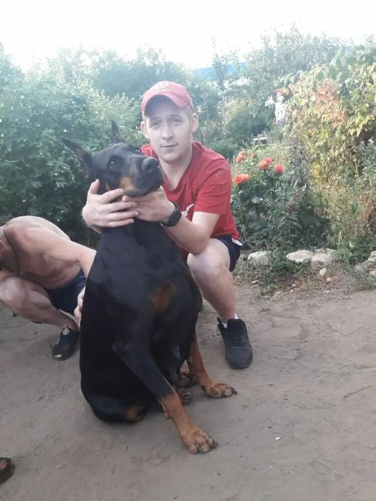 ���� 39806696 ������� �������, 29 ���, ���� ���������� � ������