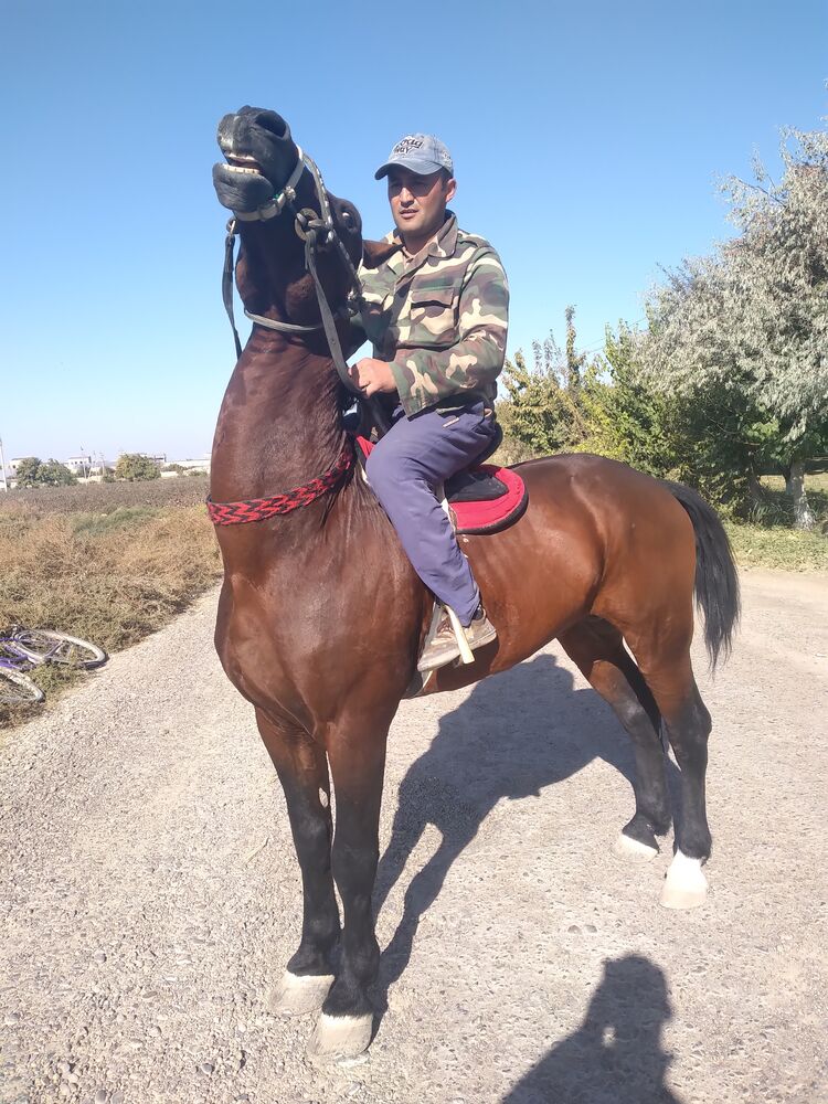 ���� 24441986 ������� ����, 35 ���, ���� ���������� � ������