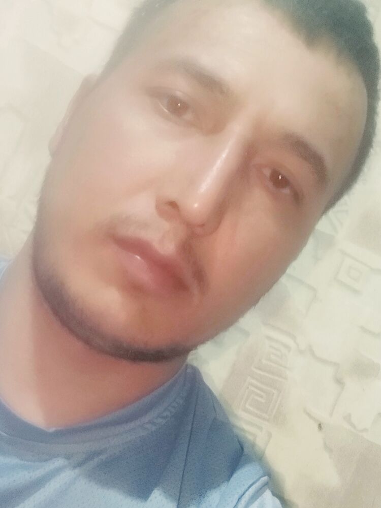 ���� 39519006 ������� ����, 33 ����, ���� ���������� � ������