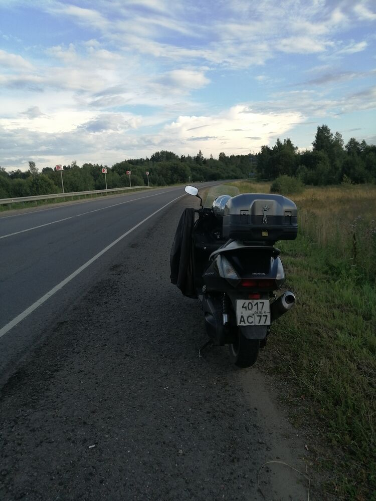  24742076  , 42 ,    