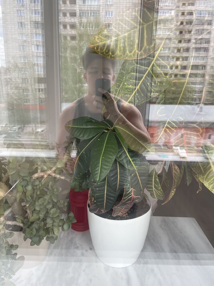 ���� 43691746 ����� ����, 23 ����, ���� ���������� � ����������