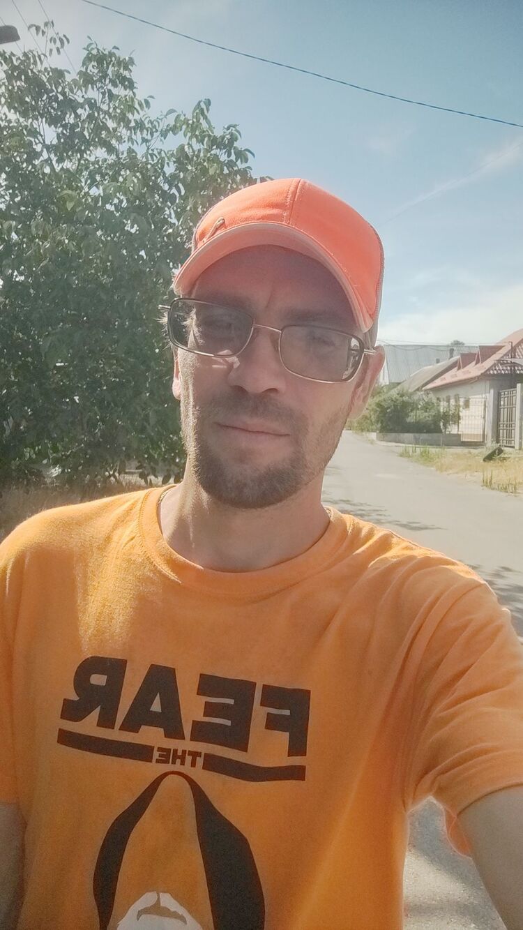  44597596  , 33 ,    