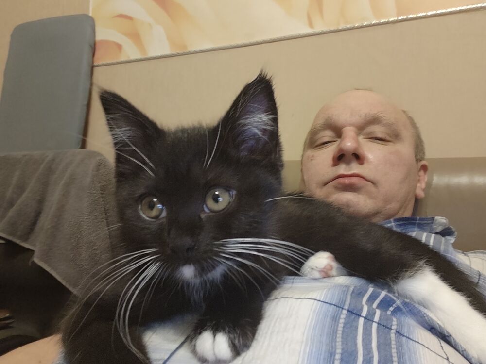 ���������� �����-���������, ���� ������� ���������, 51 ���, ������������ ��� c�������� ���������