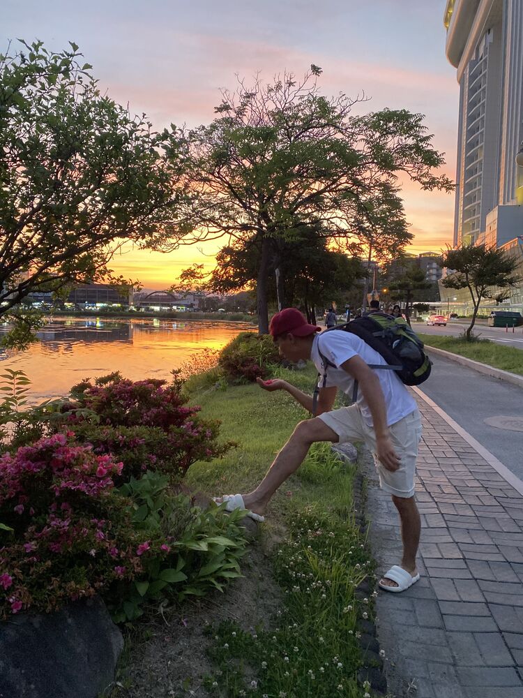 ���� 55614516 ������� ����� ������, 26 ���, ���� ���������� � ���