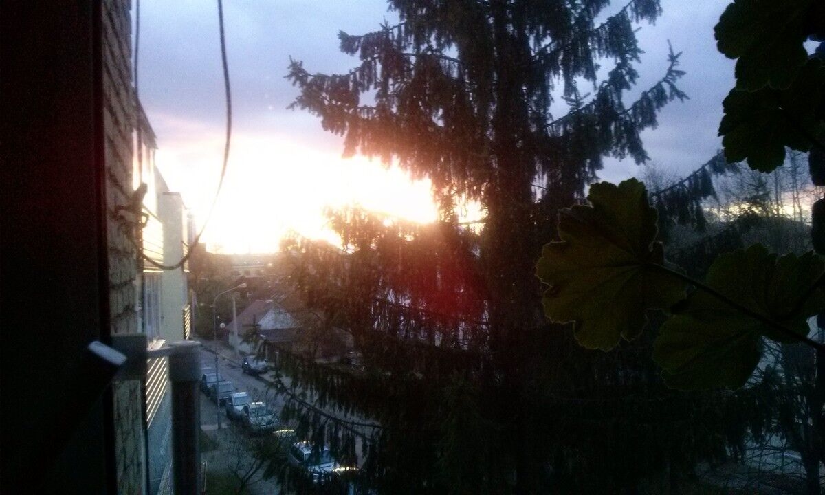  ,   Eduardas, 85 ,   ,   , c 