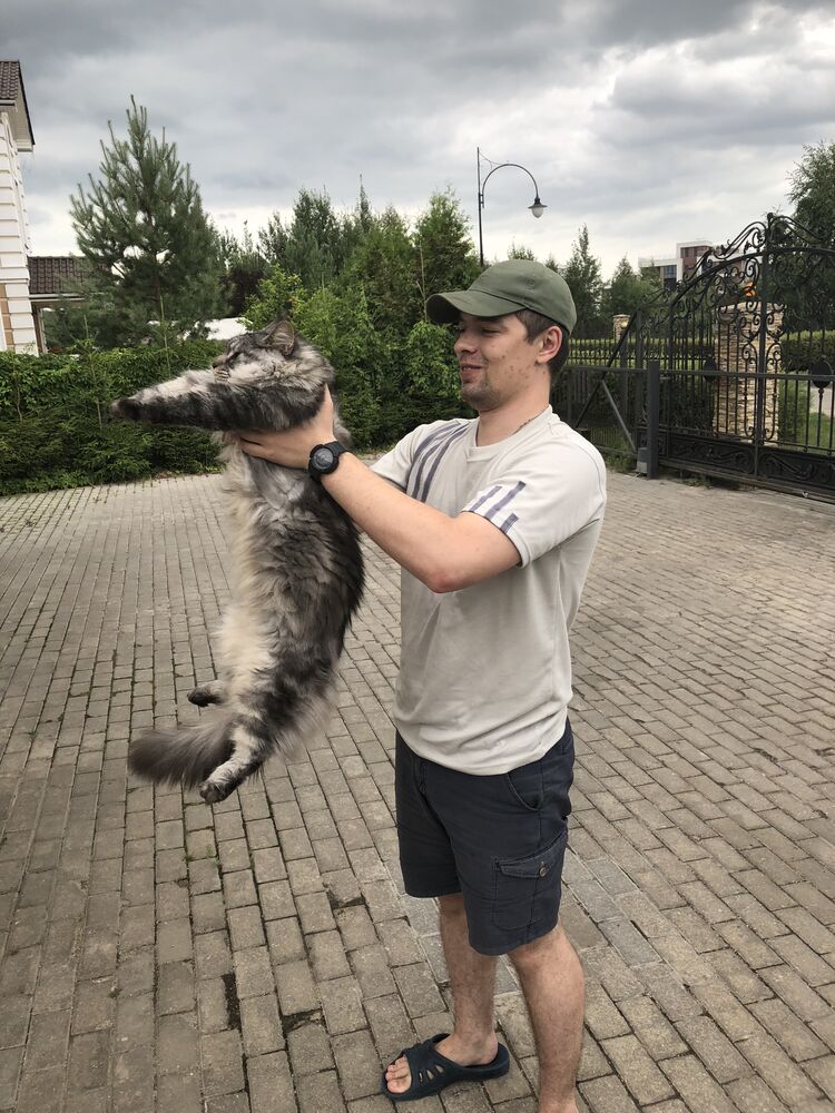 ���� 29513446 ������� ����������, 32 ����, ���� ���������� � ������