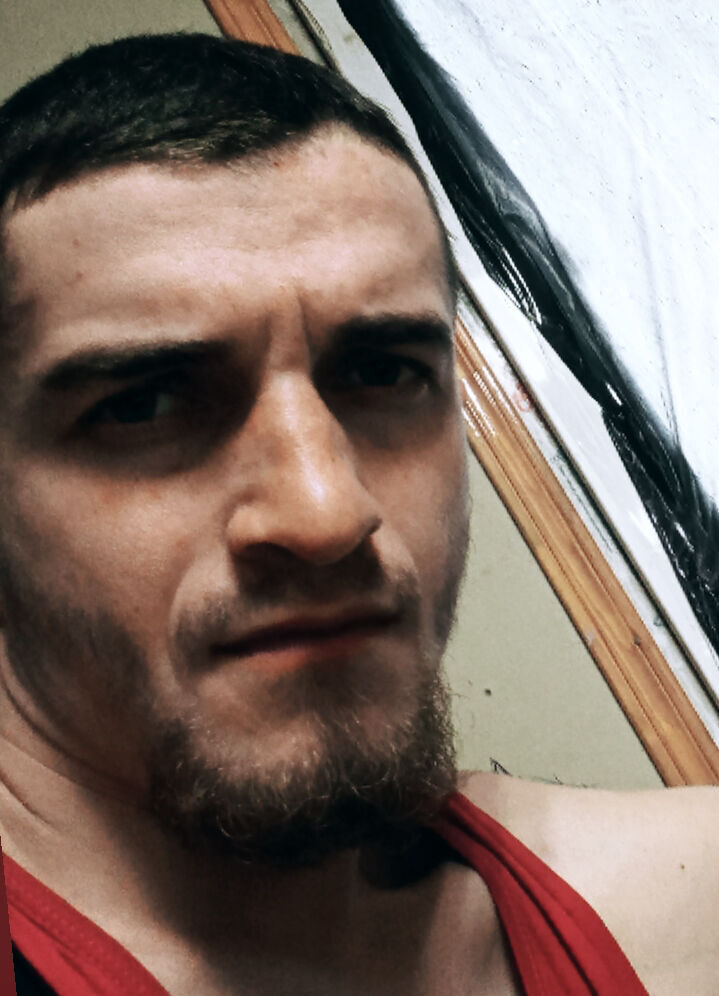  45288186  , 24 ,    