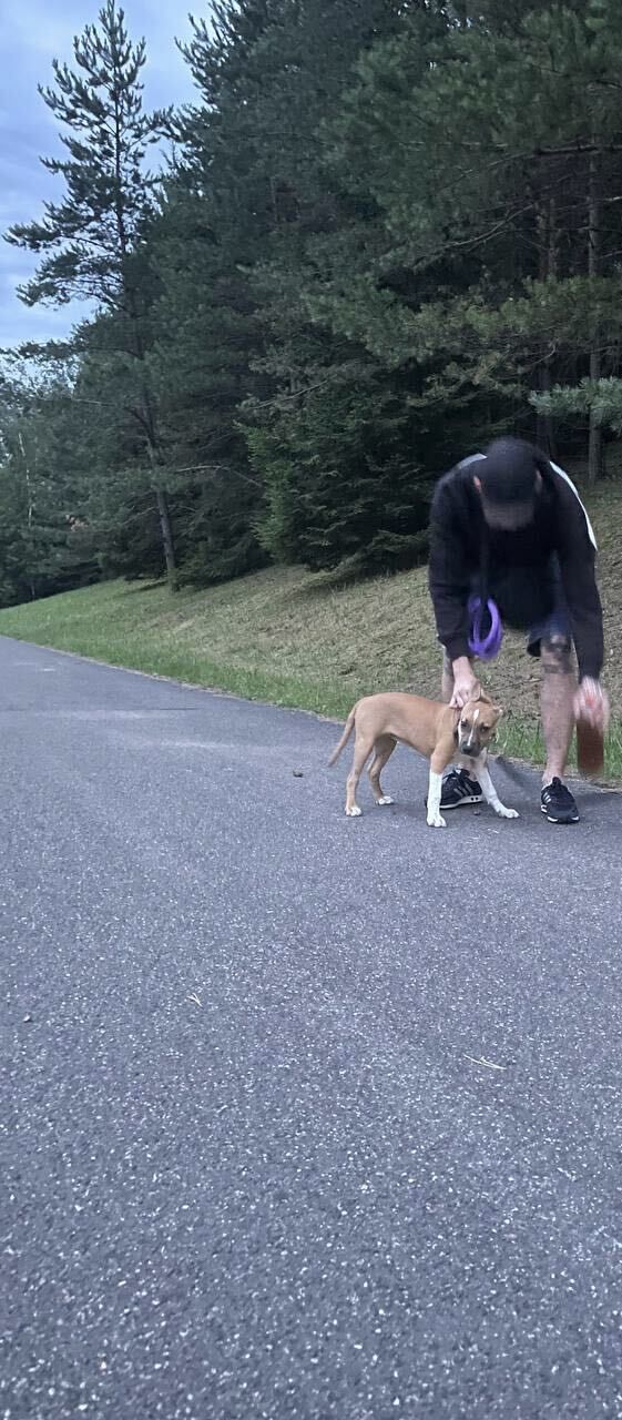 ���������� �����, ���� ������� ����, 27 ���, ������������ ��� ������, ����� � ���������