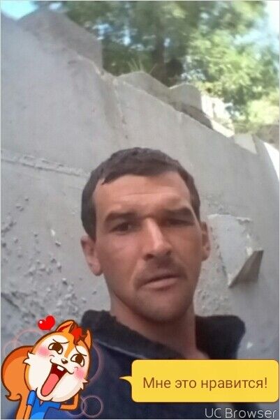  9544226  , 40 ,    