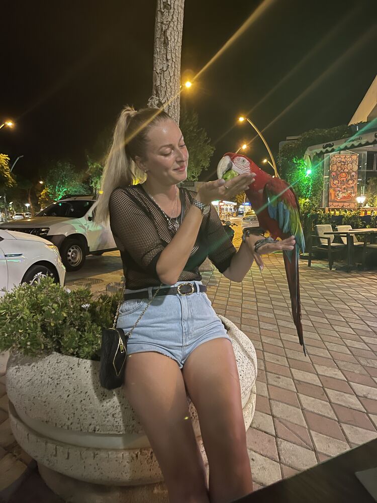  -,   , 34 ,   ,   