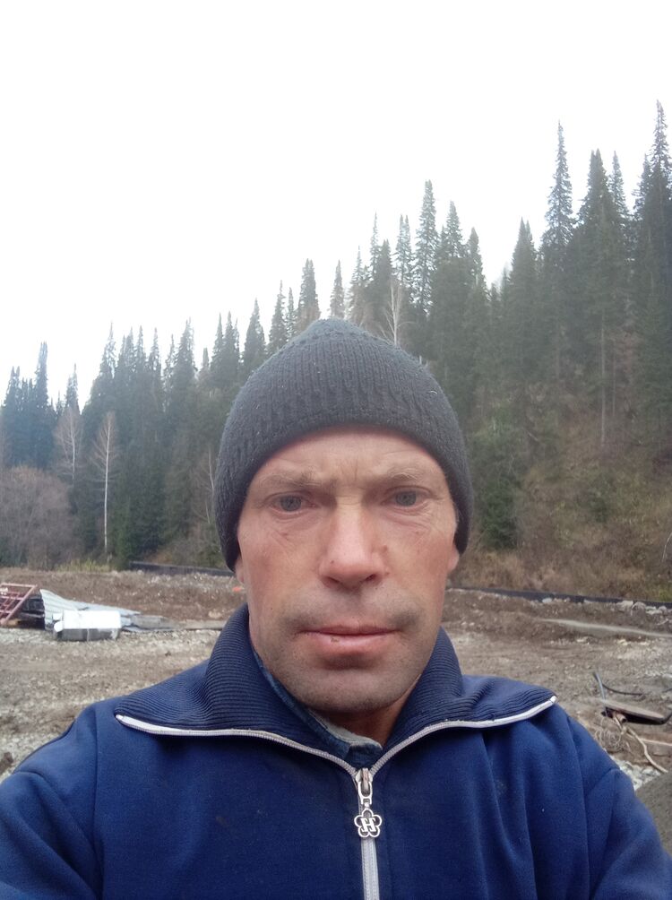  39322446  Volody, 41 ,    -
