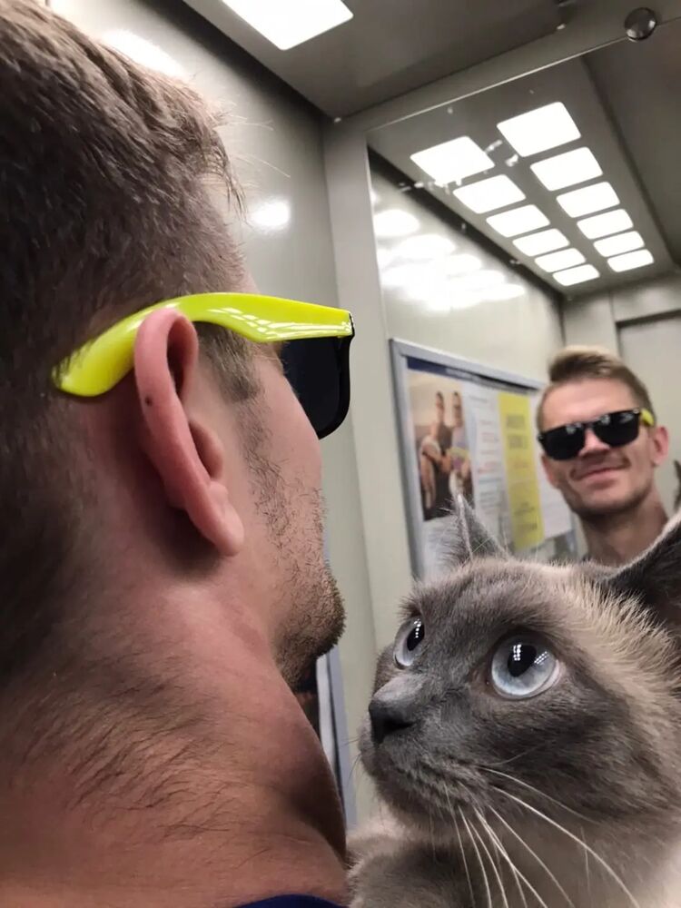 ���� 33885736 ������� ������, 30 ���, ���� ���������� � �����