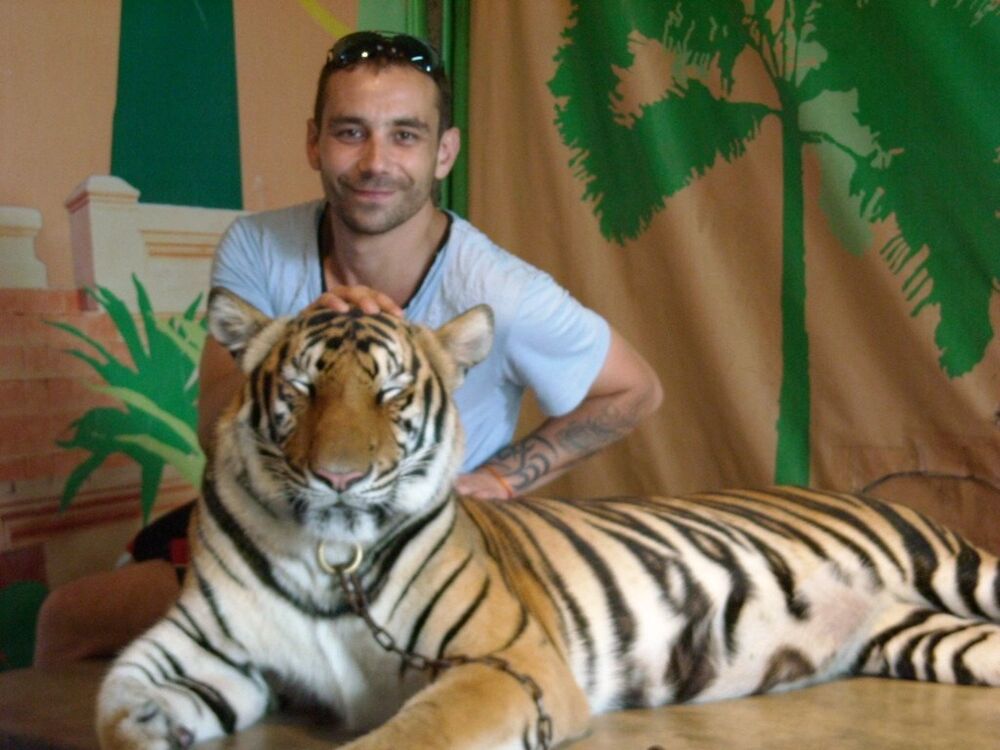 ���� 11875326 ������� ������, 45 ���, ���� ���������� � ������