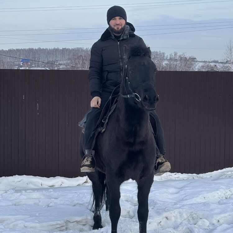 ���������� ����������, ���� ����� Sobir, 25 ���, ������������ ��� ������, ����� � ���������