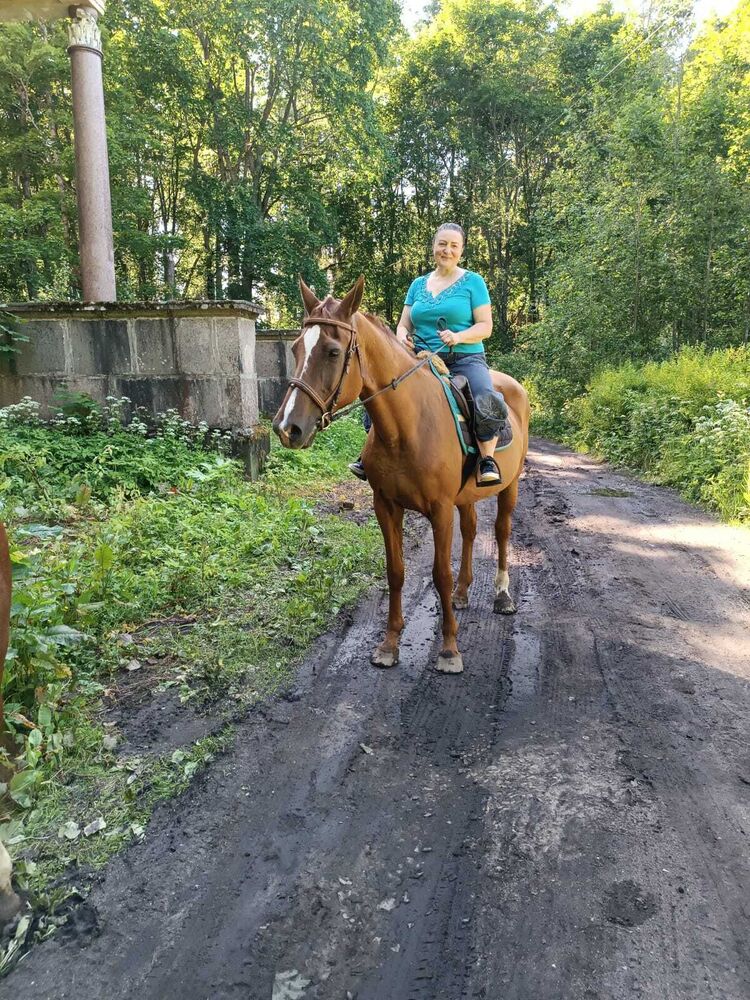  54221576  , 59 ,    -