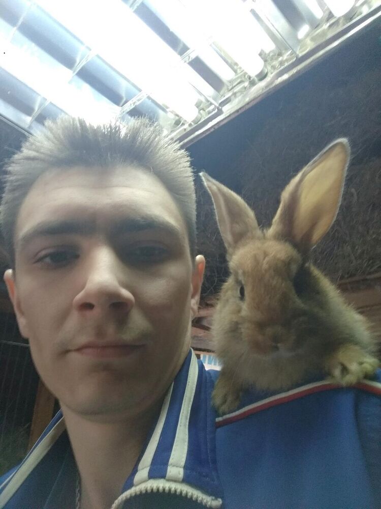 ���������� �����������, ���� ������� ��������, 37 ���, ������������ ��� ������, ����� � ���������, c�������� ���������, ���������