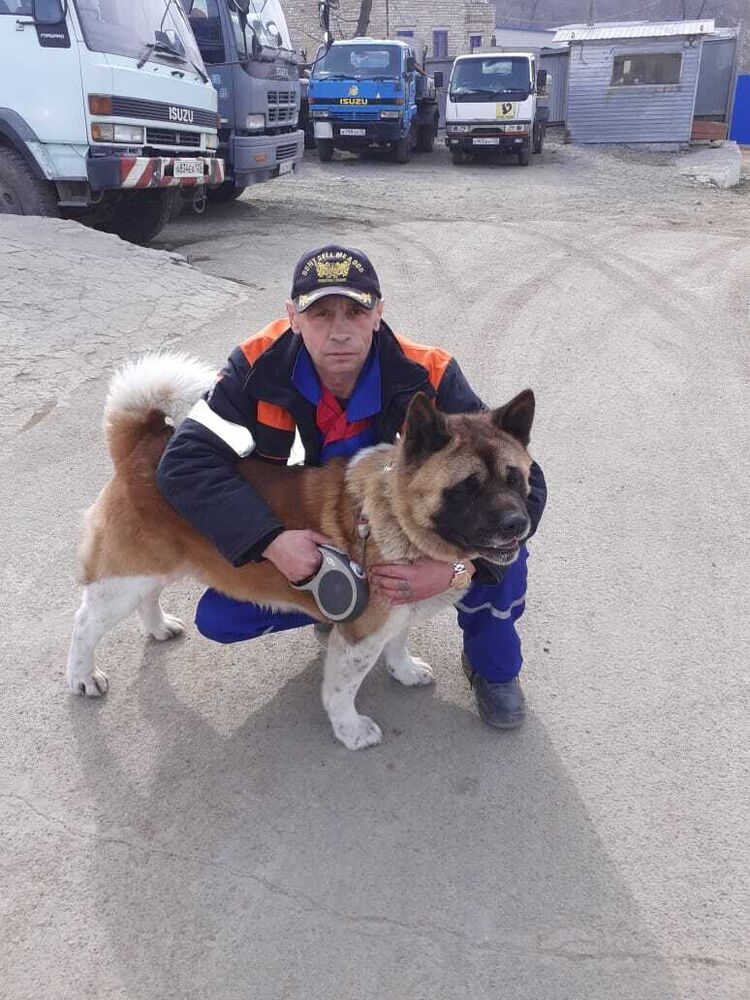 ���������� �����������, ���� ������� ����, 52 ����, ������������ ��� ������, ����� � ���������