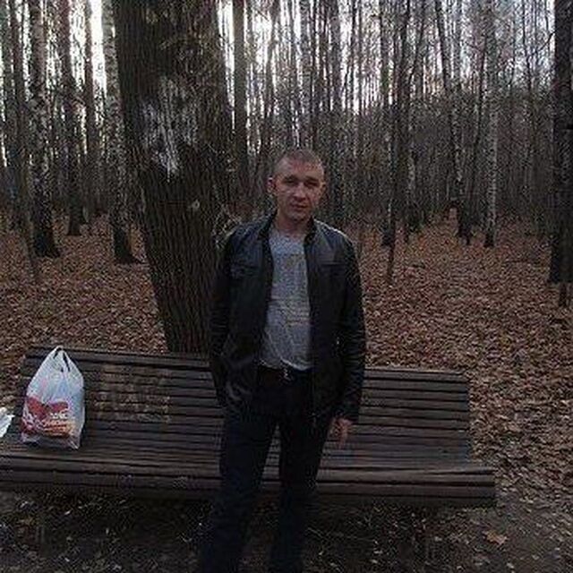  33663686  , 41 ,    