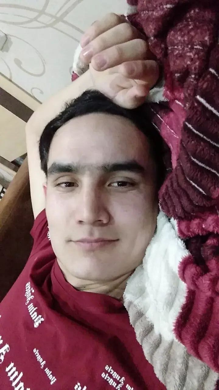  41628786  , 24 ,    