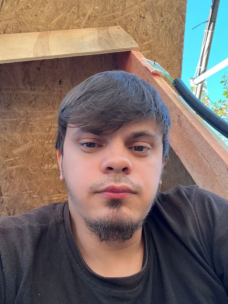  ,   Shamil, 29 ,   ,   , c 